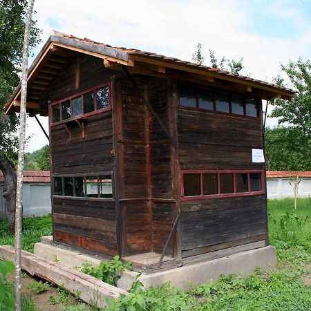 Transylvania Guesthouses Cincsor Екстериор снимка