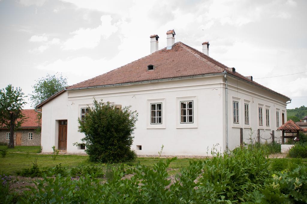 Transylvania Guesthouses Cincsor Екстериор снимка