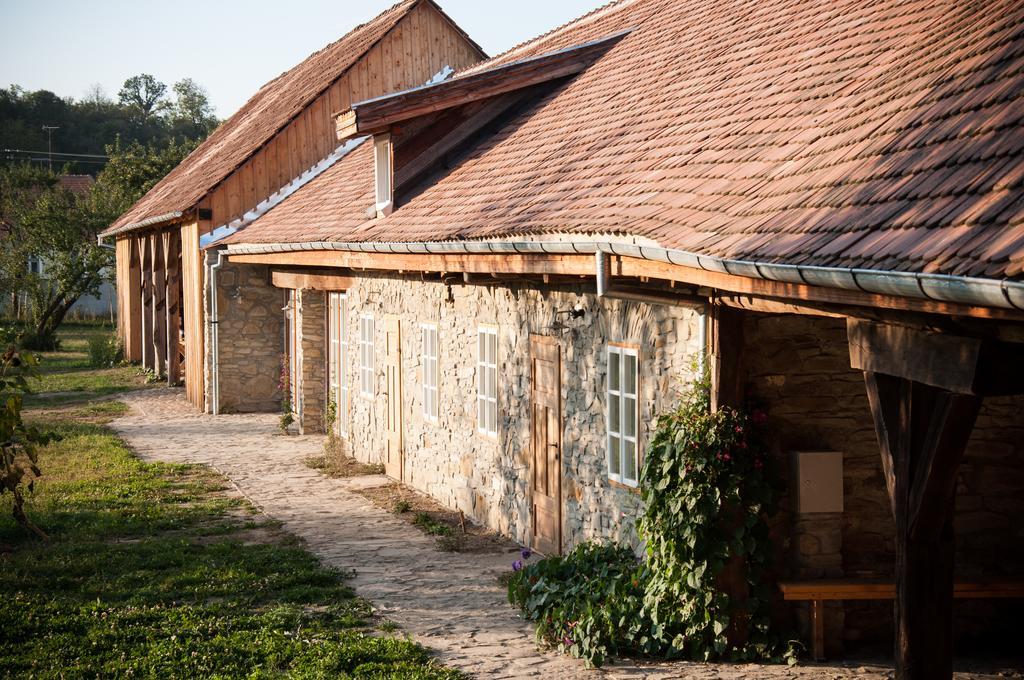 Transylvania Guesthouses Cincsor Екстериор снимка