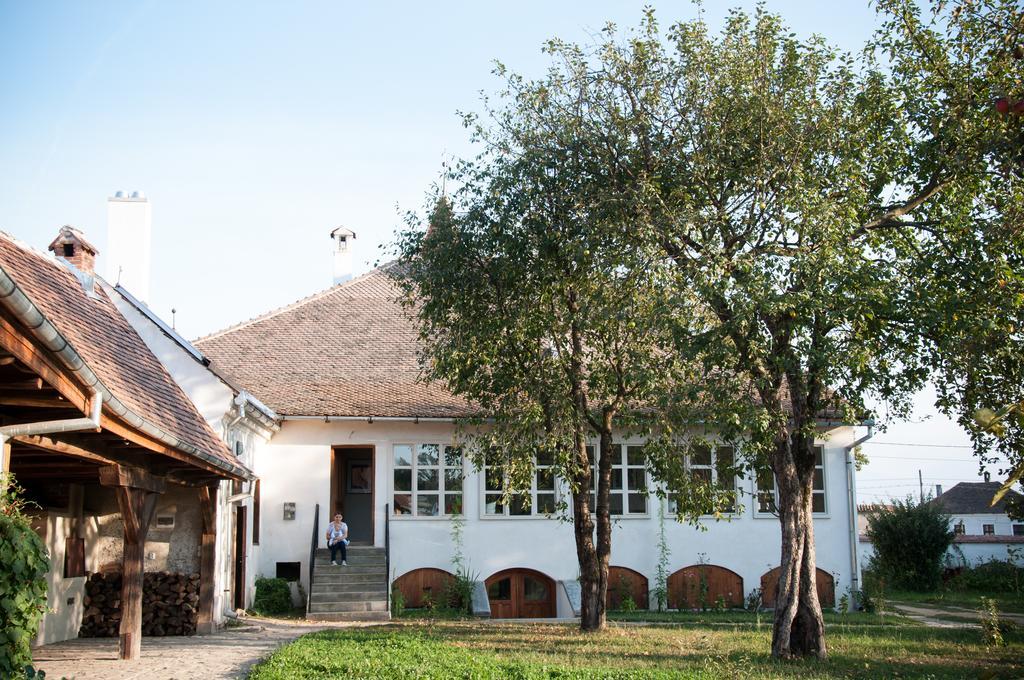 Transylvania Guesthouses Cincsor Екстериор снимка